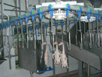 Poultry slaughtering line